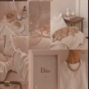 Meet your Posher, Asha